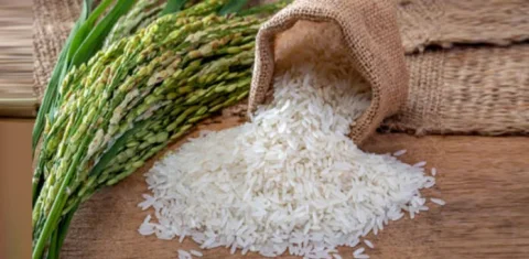 پاکستانی باسمتی چاول کی عالمی مقبولیت میں اضافہ