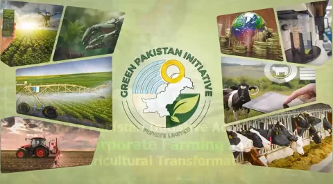 گرین پاکستان   انیشیٹو کی سہولت کاری سے  سبز انقلاب