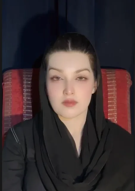 بھارت کشمیریوں کی شناخت اور حقِ خودارادیت کی جدوجہد ختم نہیں کر سکتا: مشعال حسین ملک